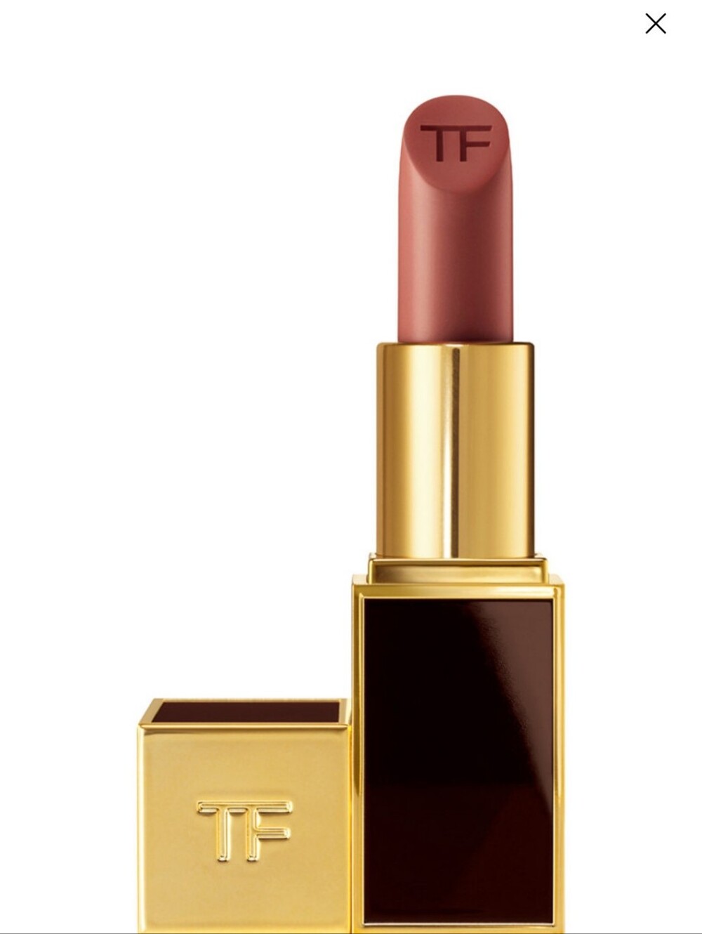 Tom Ford Lipstick in Warm Dusty Rose and Gold Case